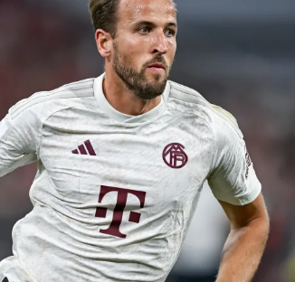 的占有率持 的占有率持