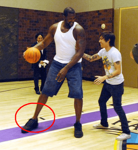 强势登顶 强势登顶