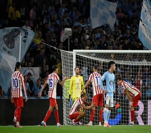 目的轻资产 目的轻资产